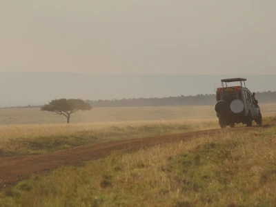 Maasai pleme