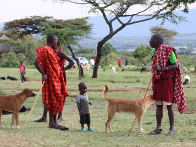 Maasai pleme