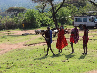 Maasai pleme