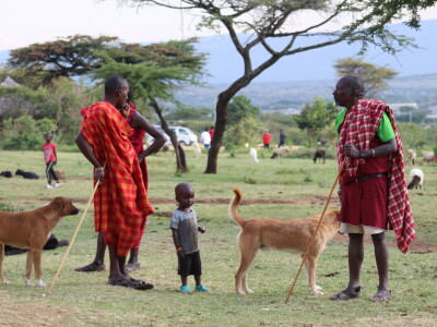 Maasai pleme