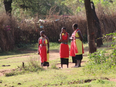 Maasai pleme