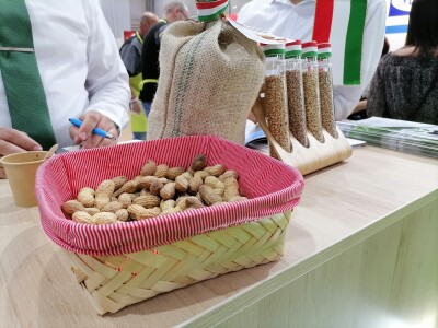 Mađarska - zemlja partner