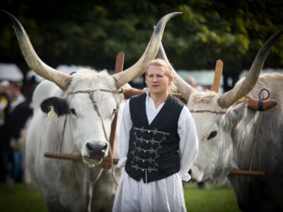 Mađarski sajam- Dani stočarstva