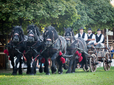 Mađarski sajam - Dani stočarstva