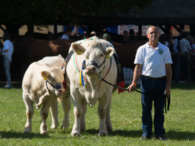 Mađarski sajam- Dani stočarstva