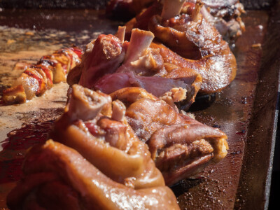 Mađarski sajam - Dani stočarstva