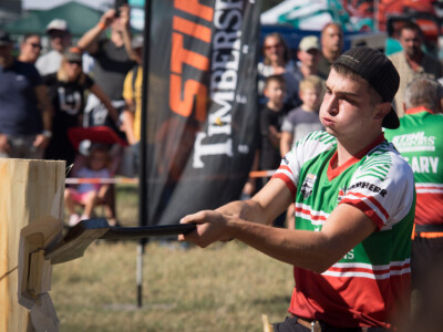 Mađarski sajam- Dani stočarstva