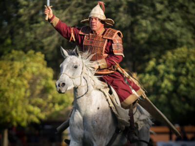 Mađarski sajam- Dani stočarstva