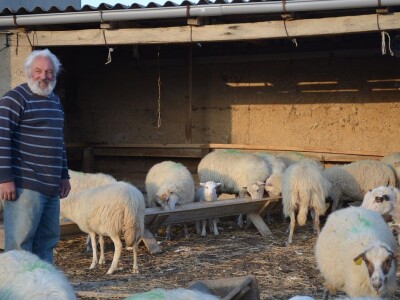 Paške uskrsne trpeze bez Žamaka