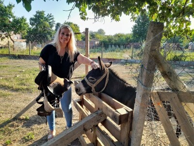 Magarac Teo Mirjane Matković Lučenčić