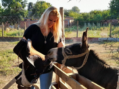 Magarac Teo Mirjane Matković Lučenčić Magarac Teo Mirjane Matković Lučenčić