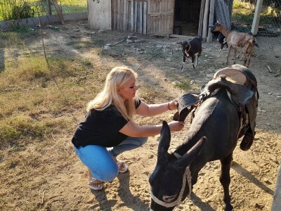 Magarac Teo Mirjane Matković Lučenčić