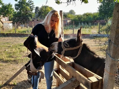 Magarac Teo Mirjane Matković Lučenčić Magarac Teo Mirjane Matković Lučenčić