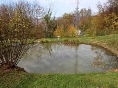 Magaraca ima puno više u Bosni, nego u Hercegovini