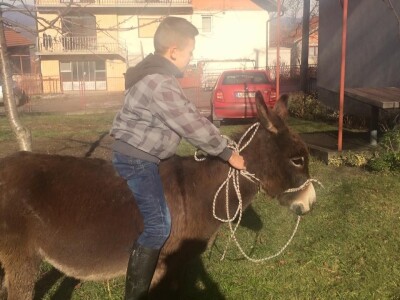 Djeca uživaju sa životinjama Djeca uživaju sa životinjama