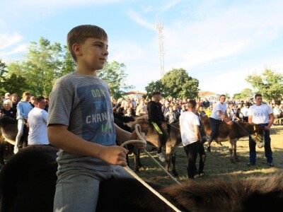 : Magarica Rožina, vlasnika Luke Lupetine – Šampionka Smotre Istarskog tovara u Juršićimaa