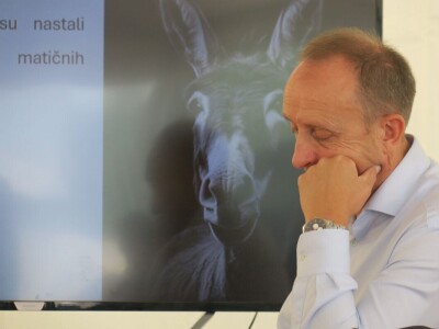 : Magarica Rožina, vlasnika Luke Lupetine – Šampionka Smotre Istarskog tovara u Juršićimaa