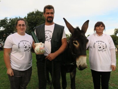: Magarica Rožina, vlasnika Luke Lupetine – Šampionka Smotre Istarskog tovara u Juršićimaa