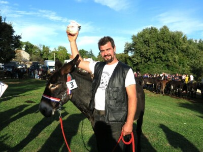 : Magarica Rožina, vlasnika Luke Lupetine – Šampionka Smotre Istarskog tovara u Juršićimaa