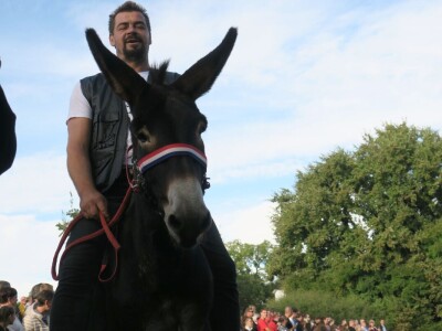 : Magarica Rožina, vlasnika Luke Lupetine – Šampionka Smotre Istarskog tovara u Juršićimaa
