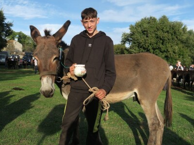 : Magarica Rožina, vlasnika Luke Lupetine – Šampionka Smotre Istarskog tovara u Juršićimaa