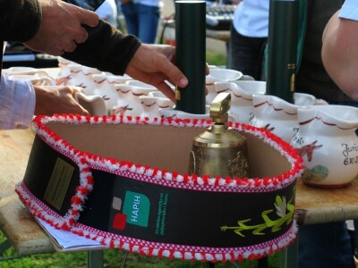 : Magarica Rožina, vlasnika Luke Lupetine – Šampionka Smotre Istarskog tovara u Juršićimaa