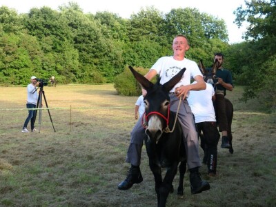 : Magarica Rožina, vlasnika Luke Lupetine – Šampionka Smotre Istarskog tovara u Juršićimaa