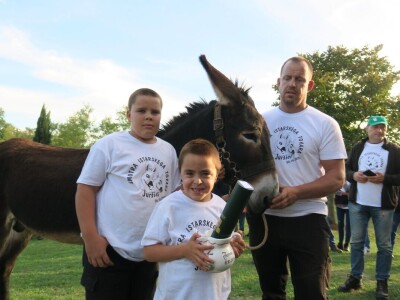 : Magarica Rožina, vlasnika Luke Lupetine – Šampionka Smotre Istarskog tovara u Juršićimaa