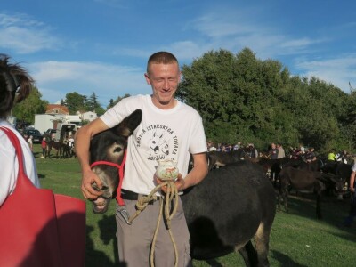 : Magarica Rožina, vlasnika Luke Lupetine – Šampionka Smotre Istarskog tovara u Juršićimaa