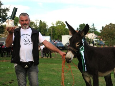 : Magarica Rožina, vlasnika Luke Lupetine – Šampionka Smotre Istarskog tovara u Juršićimaa