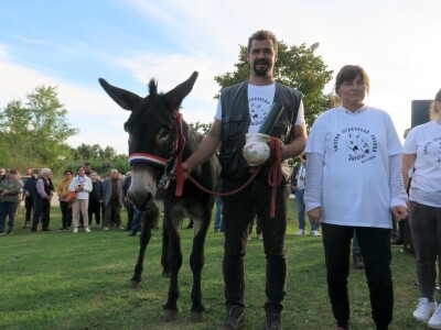 : Magarica Rožina, vlasnika Luke Lupetine – Šampionka Smotre Istarskog tovara u Juršićimaa