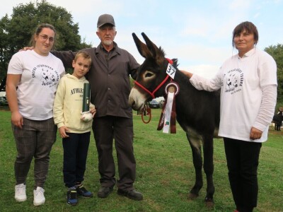 : Magarica Rožina, vlasnika Luke Lupetine – Šampionka Smotre Istarskog tovara u Juršićimaa