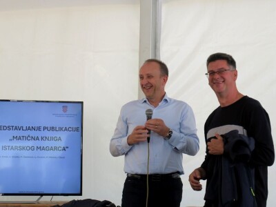 : Magarica Rožina, vlasnika Luke Lupetine – Šampionka Smotre Istarskog tovara u Juršićimaa