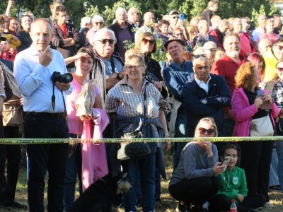: Magarica Rožina, vlasnika Luke Lupetine – Šampionka Smotre Istarskog tovara u Juršićimaa