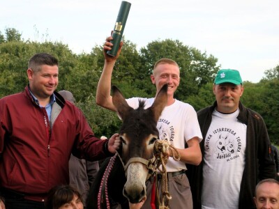 : Magarica Rožina, vlasnika Luke Lupetine – Šampionka Smotre Istarskog tovara u Juršićimaa