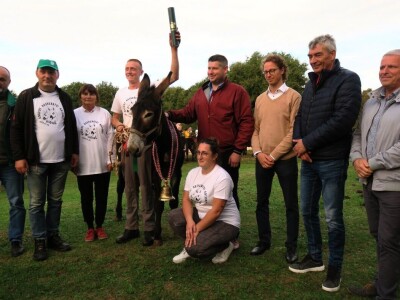 : Magarica Rožina, vlasnika Luke Lupetine – Šampionka Smotre Istarskog tovara u Juršićimaa