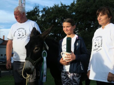 : Magarica Rožina, vlasnika Luke Lupetine – Šampionka Smotre Istarskog tovara u Juršićimaa