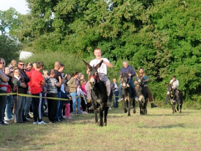 : Magarica Rožina, vlasnika Luke Lupetine – Šampionka Smotre Istarskog tovara u Juršićimaa