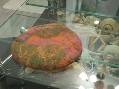 Magični svet filcanja