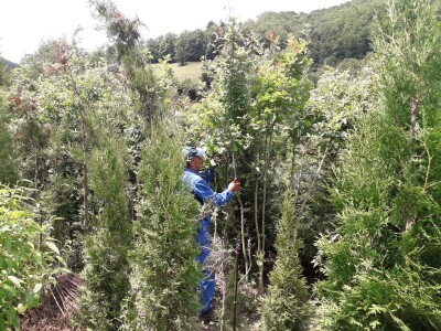 Mahir Delibašić: Moje višegodišnje ulaganje i mukotrpan rad se na kraju isplatio