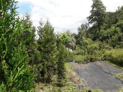 Mahir Delibašić: Moje višegodišnje ulaganje i mukotrpan rad se na kraju isplatio