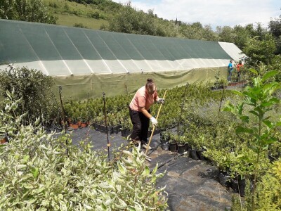 Mahir Delibašić: Moje višegodišnje ulaganje i mukotrpan rad se na kraju isplatio