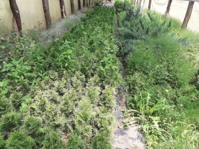 Mahir Delibašić: Moje višegodišnje ulaganje i mukotrpan rad se na kraju isplatio