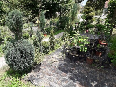 Mahir Delibašić: Moje višegodišnje ulaganje i mukotrpan rad se na kraju isplatio