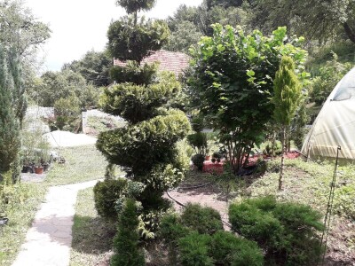 Mahir Delibašić: Moje višegodišnje ulaganje i mukotrpan rad se na kraju isplatio