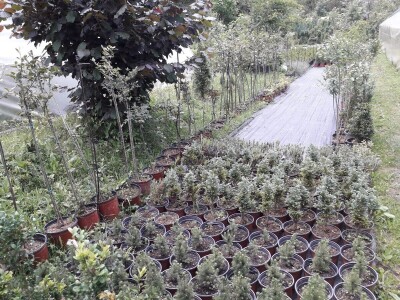 Mahir Delibašić: Moje višegodišnje ulaganje i mukotrpan rad se na kraju isplatio