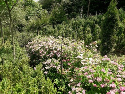 Mahir Delibašić: Moje višegodišnje ulaganje i mukotrpan rad se na kraju isplatio