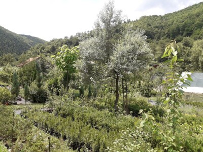 Mahir Delibašić: Moje višegodišnje ulaganje i mukotrpan rad se na kraju isplatio