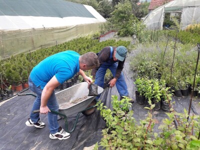 Mahir Delibašić: Moje višegodišnje ulaganje i mukotrpan rad se na kraju isplatio