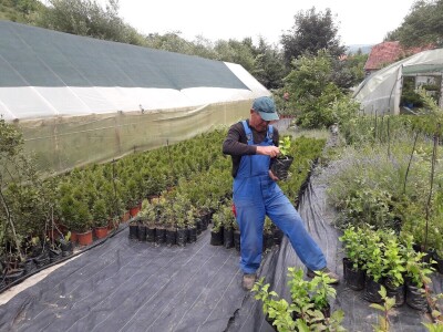 Mahir Delibašić: Moje višegodišnje ulaganje i mukotrpan rad se na kraju isplatio